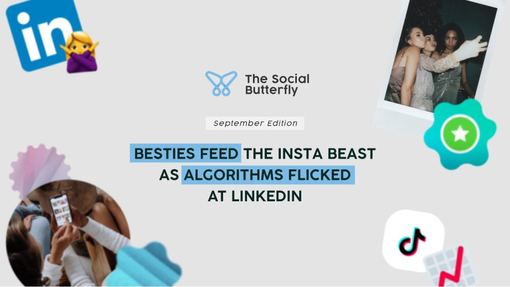 Social Butterfly header