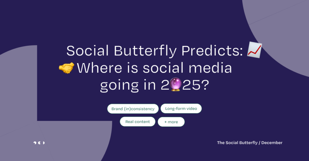 Social Butterfly Header December 2024